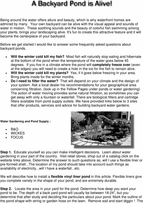 Product picture DIY. Backyard Pond.